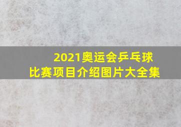 2021奥运会乒乓球比赛项目介绍图片大全集