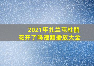 2021年扎兰屯杜鹃花开了吗视频播放大全