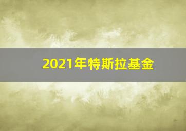 2021年特斯拉基金