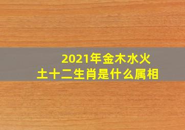 2021年金木水火土十二生肖是什么属相