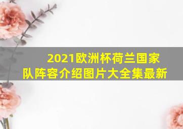 2021欧洲杯荷兰国家队阵容介绍图片大全集最新