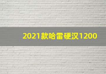 2021款哈雷硬汉1200