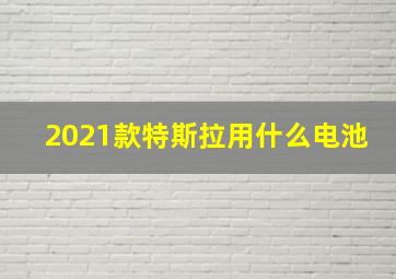 2021款特斯拉用什么电池