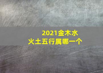 2021金木水火土五行属哪一个