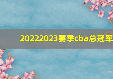 20222023赛季cba总冠军