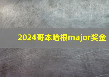 2024哥本哈根major奖金