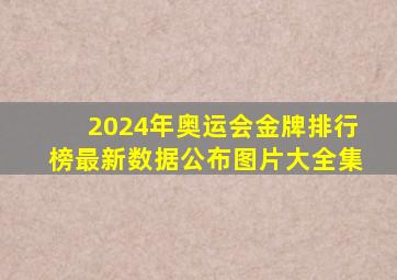 2024年奥运会金牌排行榜最新数据公布图片大全集