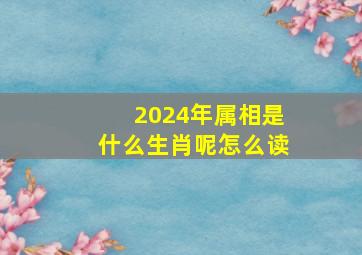 2024年属相是什么生肖呢怎么读