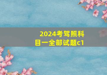 2024考驾照科目一全部试题c1