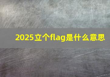 2025立个flag是什么意思