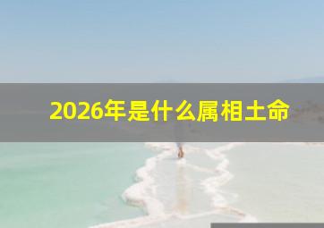 2026年是什么属相土命