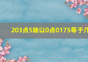 203点5除以0点0175等于几