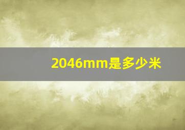 2046mm是多少米