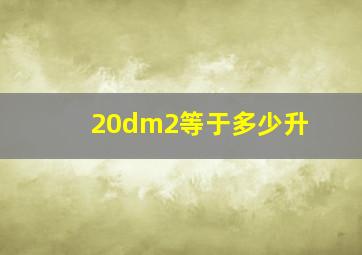 20dm2等于多少升