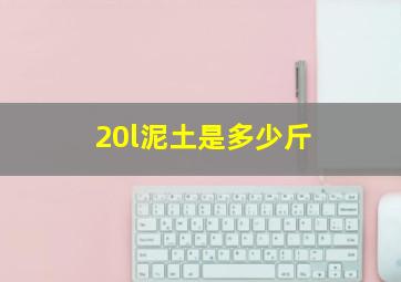 20l泥土是多少斤