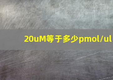 20uM等于多少pmol/ul