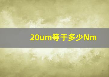 20um等于多少Nm