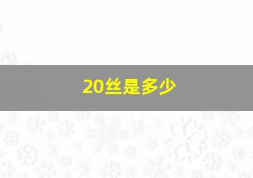 20丝是多少