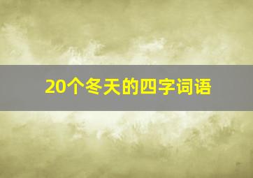 20个冬天的四字词语