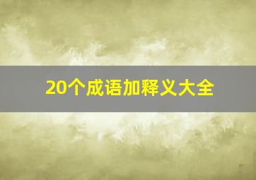 20个成语加释义大全