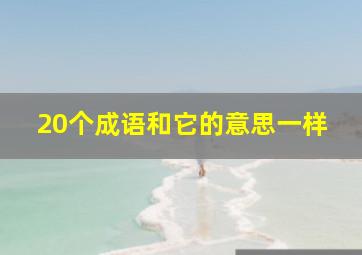 20个成语和它的意思一样