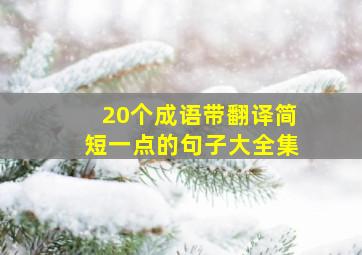 20个成语带翻译简短一点的句子大全集