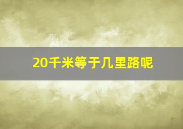 20千米等于几里路呢