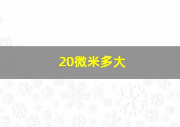 20微米多大