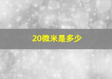 20微米是多少