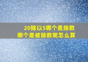 20除以5哪个是除数哪个是被除数呢怎么算