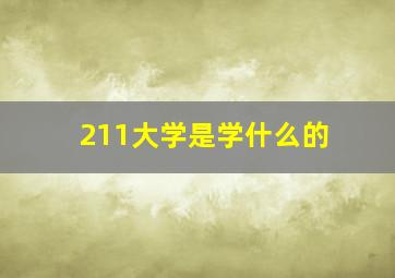 211大学是学什么的