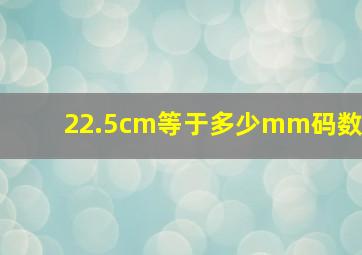 22.5cm等于多少mm码数