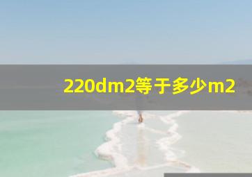 220dm2等于多少m2