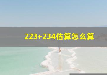 223+234估算怎么算