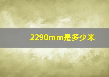 2290mm是多少米