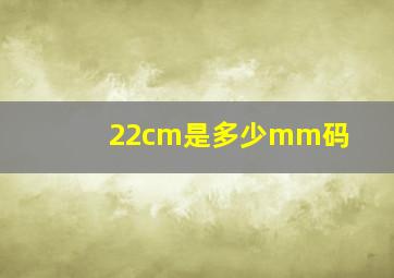 22cm是多少mm码