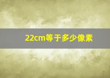 22cm等于多少像素