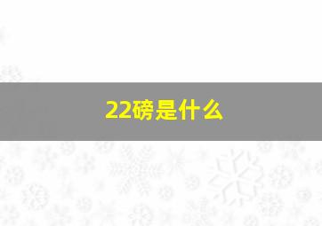 22磅是什么