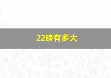 22磅有多大