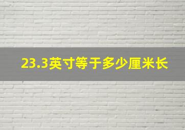 23.3英寸等于多少厘米长