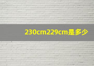 230cm229cm是多少