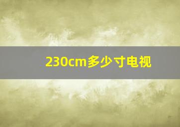 230cm多少寸电视