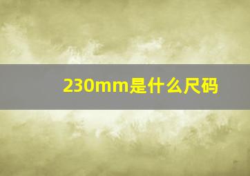 230mm是什么尺码