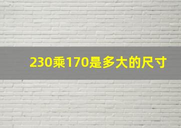 230乘170是多大的尺寸