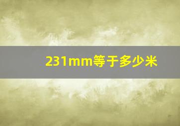 231mm等于多少米