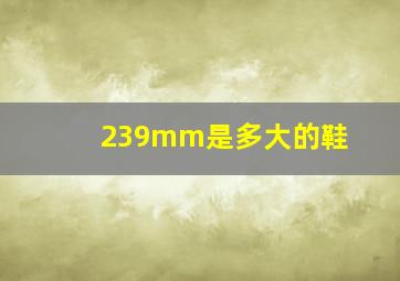 239mm是多大的鞋