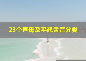 23个声母及平翘舌音分类