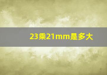 23乘21mm是多大