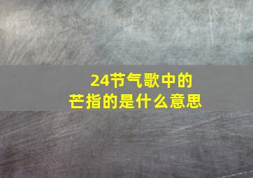 24节气歌中的芒指的是什么意思