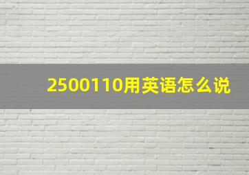 2500110用英语怎么说